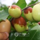 보은슈퍼 이미지
