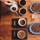 KCA커피바리스타 1급 자격취득 이미지