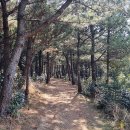 독자봉 이미지