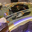 세븐일레븐 안성운동장점 | [안성 아이랑] 안성 스타필드 아쿠아필드 찜질방 후기 (가족샤워실 이용방법)