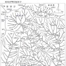 지리산 칠선계곡-백무동 이미지