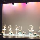 라인발레무용2관학원 이미지