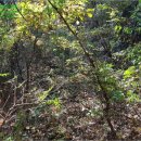 남해-157 이미지