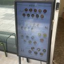 아이엠 치킨 | [아이엠 베이글 용산점] 용산 블루베리베이글 치킨타불레샐러드 후기 -내돈내산-