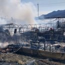 불은농장 이미지