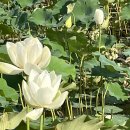 기전마을회관 이미지