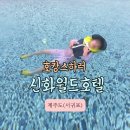 아이와 제주신화월드에서 완벽한호캉스 즐기기!