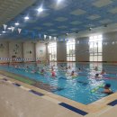 조종국민체육센터 수영장 이미지