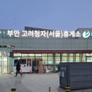 부안고려청자(서울) 이미지