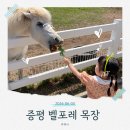 목장신정절목 | 증평 벨포레 목장｜5살·13개월 아기와 다녀온 후기, 먹이주기·놀이동산