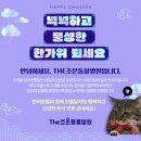 더조은동물병원 이미지