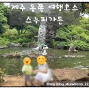 제주 스누피가든 후기 | 아이·어르신과 함께한 만족도 100% 제주 동쪽 여행지 추천!