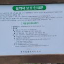 학림동 이미지
