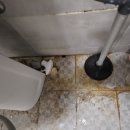 세븐일레븐 제주대 원룸타운점 | [제주 청소업체] 제주시 제주대에 위치한 원룸 거주청소 현장 소개 드립니다:)