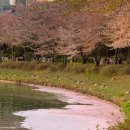 강촌 숯불 닭갈비 이미지