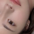 꽃누니속눈썹
