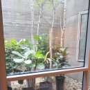 쉬즈메디산후조리원 이미지