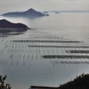 미미여관 이미지