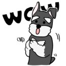 펫사랑약국 이미지