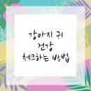 신호동물병원 이미지