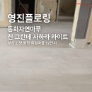 동화마을1단지(동화5리) | 동화자연마루 진 그란데 사하라 라이트 고양 화정 옥빛마을 12단지 시공 후기