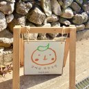 채니농장 이미지