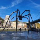 망토 두른 강아지 | 가스텔 루가체 섬, 비즈카야 다리, 구겐하임 미술관. 스페인 5일차