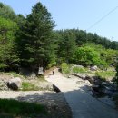 약수골 농장 이미지