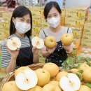 화산마트 이미지