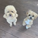 슬기유치원 이미지