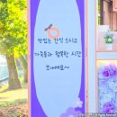 판교어린이집 이미지