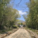 문학&생명관 이미지