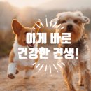 아베텍 이미지
