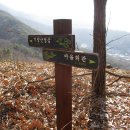 10/4(화)08:00,기양산(705m,상주),산지산,신암산,용방산,마공성 이미지