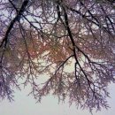 설경민박 이미지