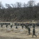 모범사격
