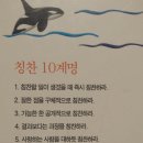 고래세상 이미지