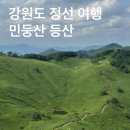 능전 | 강원도 정선 여행 | 민둥산 ; 등산코스, 능전 주차장, 등산시간, 7월 방문 후기