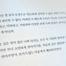 일홍 이미지
