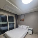 부산여행 에어비앤비 부산 기장 숙소 외국인친구에게 부산여행추천 기장해동용궁사