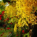 황금산업 이미지