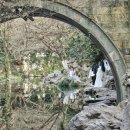 서호미술관 | 여행] 6-2DAY/상하이 클럽/맥스/ins/항저우/서호/미술관/고속열차/기차/당일치기/상하이 맛집...