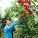 (주)체리판매 프레시안