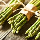 조은농장 이미지