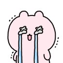 한신태권도 이미지