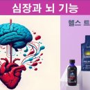 해피지니 이미지
