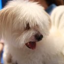 랄라펫살롱 이미지