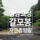 그린숲이야기 | 고성갈모봉자연휴양림 경남 숙소 예약 숲이그린집
