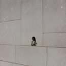 부산치과의원 이미지