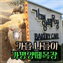 봉의목장 | 가평 여행 :: 가평양떼목장카페 ' 클라우드 힐' 에서 힐링하기